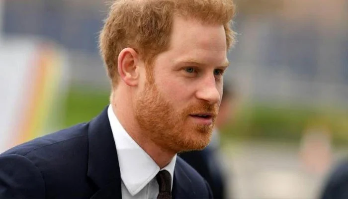 Prince Harry has personal agenda behind his ‘philanthropic efforts'