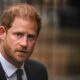 Prince Harry 'doesn't know how things work' as major British law explained
