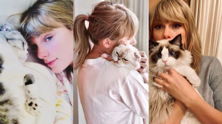 pop sensation Taylor Swift faced criticism from a fan who questioned her frequent habit of kissing and being seen with her cat. Swift's response serves as a powerful testament to the importance of staying true to oneself and standing up for what matters most.