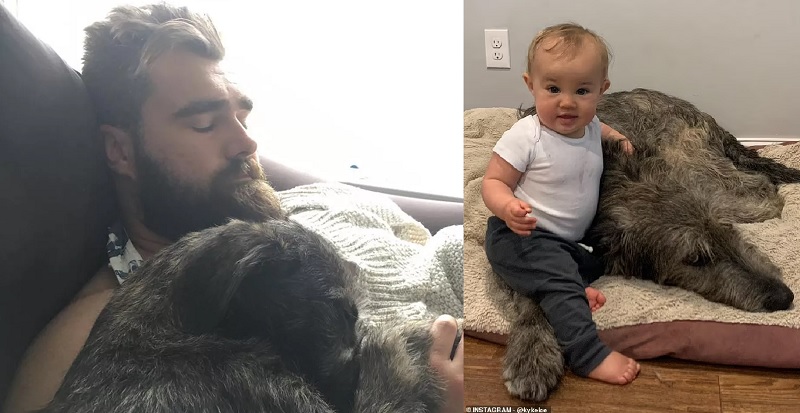 Jason and Kylie kelce revealed Bennette reaction on the loss of family dog, She feels it the most…she cried and won't eat since…..