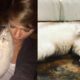 Just in: Taylor Swift mourns the death of her beloved cat Olivia Benson…Taylor honors the memories of her beloved cat "She Lived"