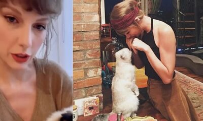 EXCLUSIVE: "Taylor Swift addresses critics, stating, ‘Stop criticizing me for kissing and hugging my cat, Travis. It’s my personal life, and my pet brings me joy. I love having him around me"