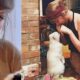 EXCLUSIVE: "Taylor Swift addresses critics, stating, ‘Stop criticizing me for kissing and hugging my cat, Travis. It’s my personal life, and my pet brings me joy. I love having him around me"