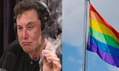 on Musk Calls for Ban on Pride Flags i