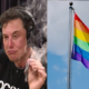 on Musk Calls for Ban on Pride Flags i