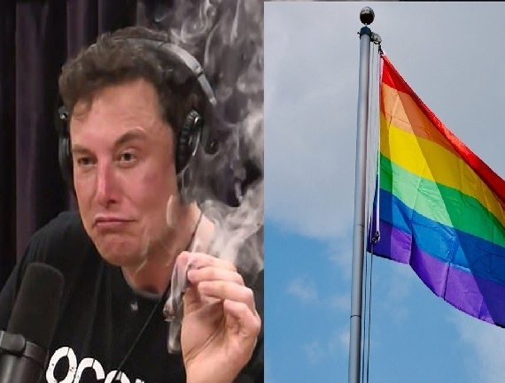 on Musk Calls for Ban on Pride Flags i